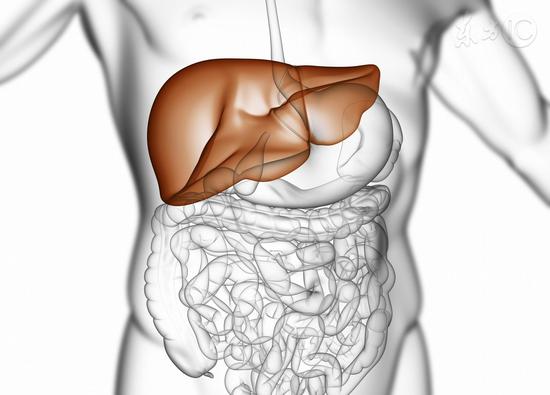 六大秘方養(yǎng)肝護肝