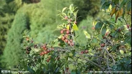 微信圖片_20170920153146.jpg 微信圖片_20170920153146.jpg