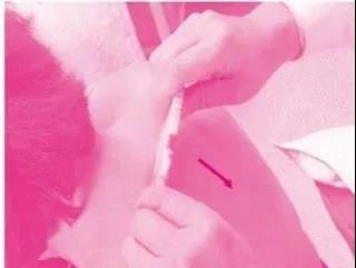 微信圖片_20170930110740.jpg 微信圖片_20170930110740.jpg