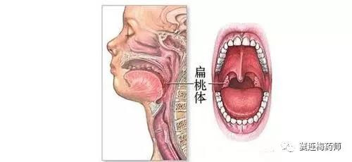 微信圖片_20180102154951.jpg 微信圖片_20180102154951.jpg