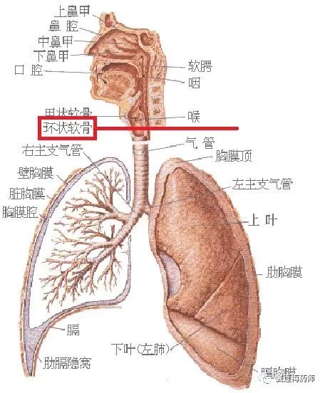 微信圖片_20180102155026.jpg 微信圖片_20180102155026.jpg