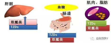 微信圖片_20180131160619.jpg 微信圖片_20180131160619.jpg