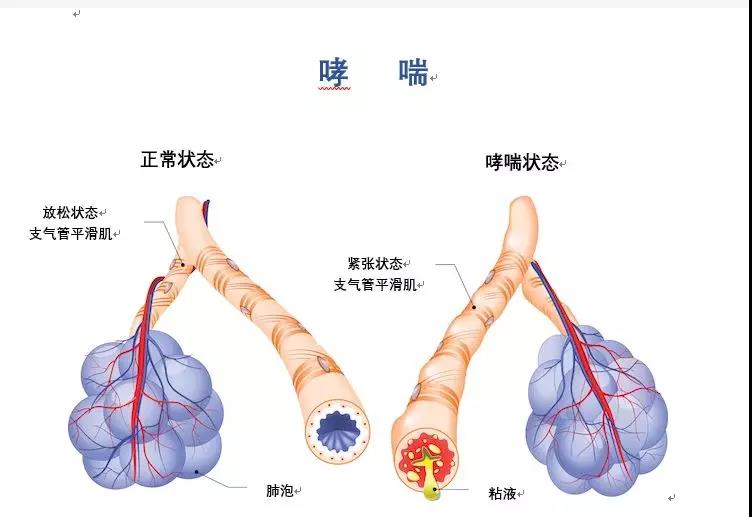 微信圖片_20180501193547.jpg 微信圖片_20180501193547.jpg
