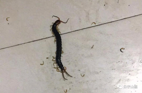 微信圖片_20180827151437.jpg 微信圖片_20180827151437.jpg