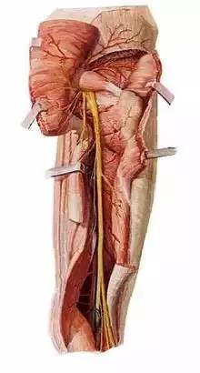 微信圖片_20180831110750.jpg 微信圖片_20180831110750.jpg