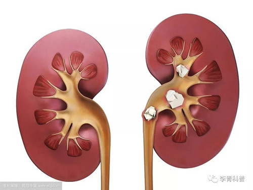 微信圖片_20181205161037.jpg 微信圖片_20181205161037.jpg