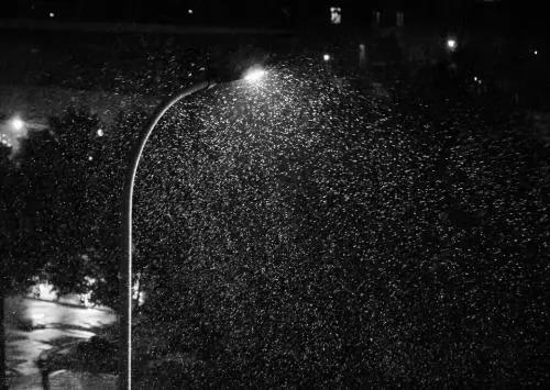 微信圖片_20181211190451.jpg 微信圖片_20181211190451.jpg