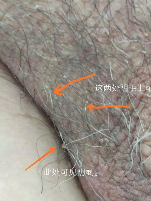 微信圖片_20190616174907.jpg 微信圖片_20190616174907.jpg