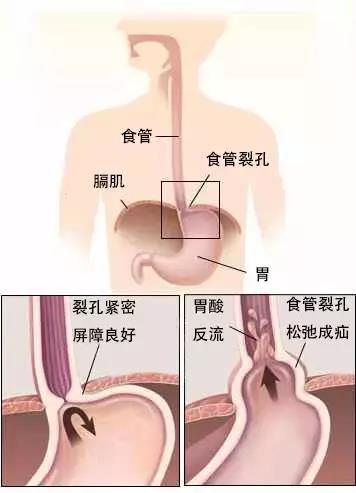 微信圖片_20190918144454.jpg 微信圖片_20190918144454.jpg