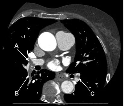 微信圖片_20191205153233.jpg 微信圖片_20191205153233.jpg