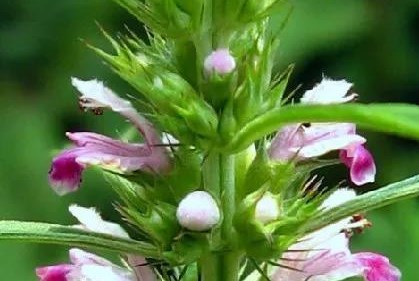 微信圖片_20191213113032.jpg 微信圖片_20191213113032.jpg