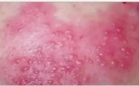 微信圖片_20200325162458.jpg 微信圖片_20200325162458.jpg