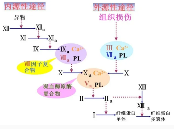 QQ截圖20200330134600.png QQ截圖20200330134600.png