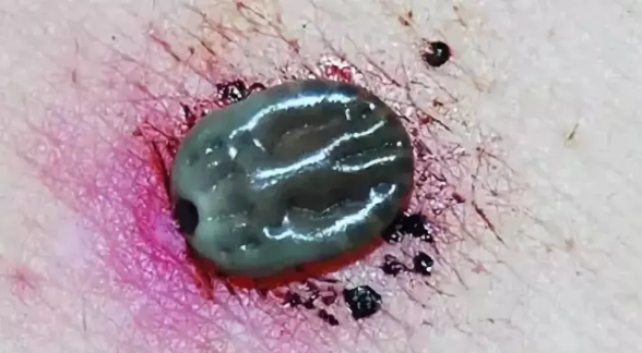 QQ截圖20200428142000.png QQ截圖20200428142000.png