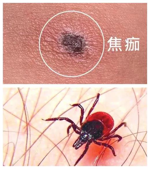 微信圖片_20200428142049.jpg 微信圖片_20200428142049.jpg