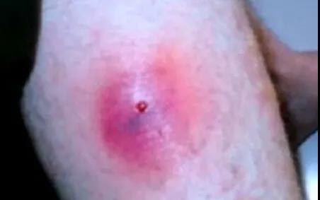 微信圖片_20200428142112.jpg 微信圖片_20200428142112.jpg