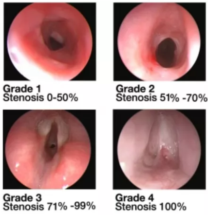 微信截圖_20200715155530.png 微信截圖_20200715155530.png