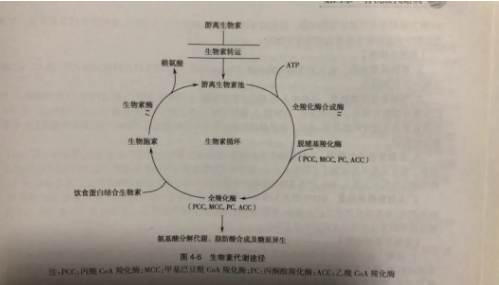 微信截圖_20201012134543.png