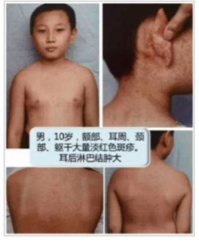 微信截圖_20201104155855.png 微信截圖_20201104155855.png