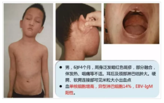 微信截圖_20201104155957.png 微信截圖_20201104155957.png