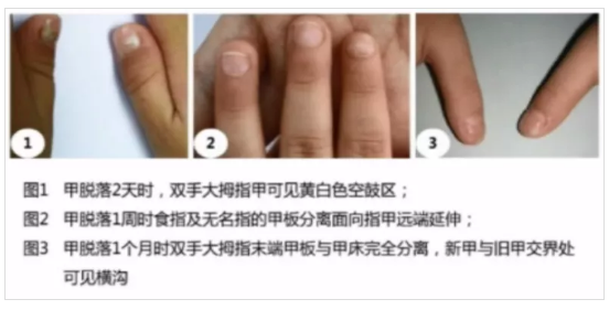 微信截圖_20201104160100.png 微信截圖_20201104160100.png