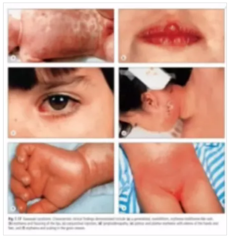 微信截圖_20201104160401.png 微信截圖_20201104160401.png