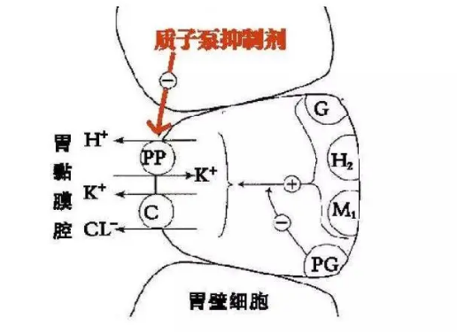 微信截圖_20201221080524.png 微信截圖_20201221080524.png