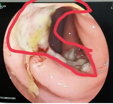 微信截圖_20210519084613.png 微信截圖_20210519084613.png