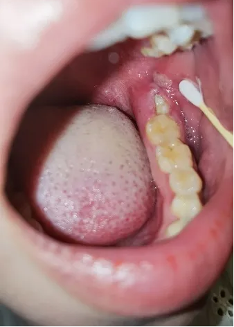 微信截圖_20210601085328.png 微信截圖_20210601085328.png