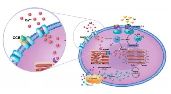 微信截圖_20210602105609.png 微信截圖_20210602105609.png