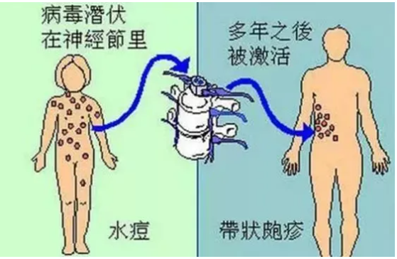 微信截圖_20210824135242.png 微信截圖_20210824135242.png