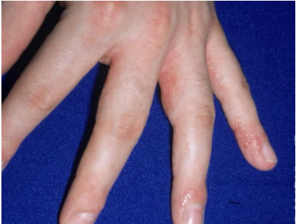 微信截圖_20210826083747.png 微信截圖_20210826083747.png