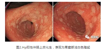 微信截圖_20211025091534.png 微信截圖_20211025091534.png