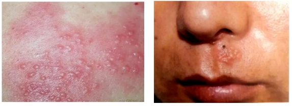 微信截圖_20240204152132.png 微信截圖_20240204152132.png