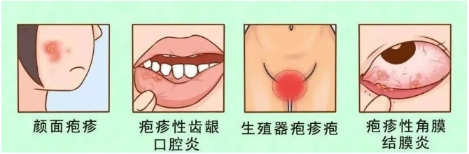 微信截圖_20240204152212.png 微信截圖_20240204152212.png